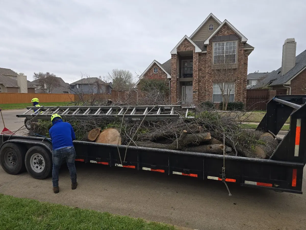 Expert Tree Pest Control with proper safety equipment in Hopewell